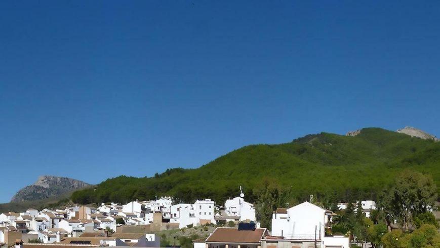 Hostal El Pinar مونتيهمورتو المظهر الخارجي الصورة